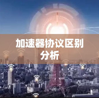 加速器协议区别分析 加速器协议区别分析