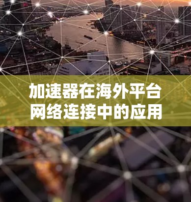 加速器在海外平台网络连接中的应用与挑战