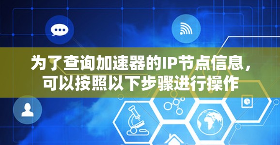 为了查询加速器的IP节点信息，可以按照以下步骤进行操作