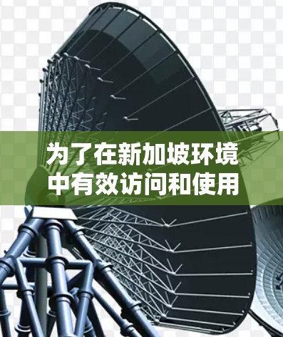 为了在新加坡环境中有效访问和使用加速器服务,可以采用以下几种方法 为了在新加坡环境中有效访问和使用加速器服务,可以采用以下几种方法