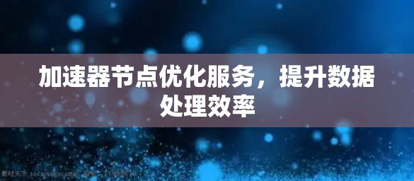 加速器节点优化服务，提升数据处理效率