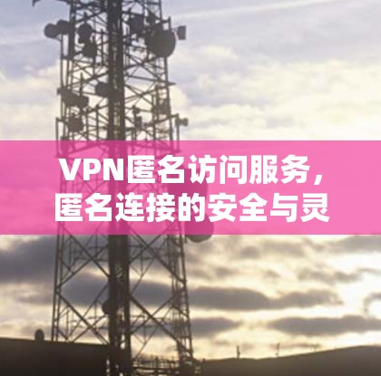 VPN匿名访问服务，匿名连接的安全与灵活性