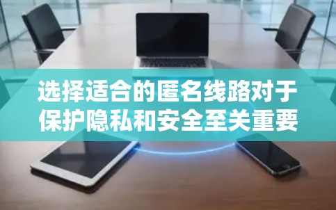 选择适合的匿名线路对于保护隐私和安全至关重要。以下是基于您的需求和考虑因素的总结和建议