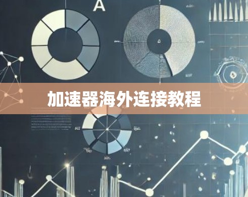 加速器海外连接教程