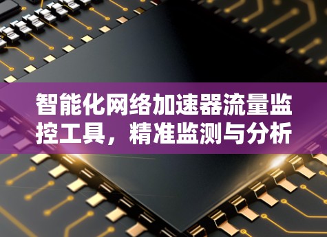 智能化网络加速器流量监控工具,精准监测与分析 智能化网络加速器流量监控工具,精准监测与分析