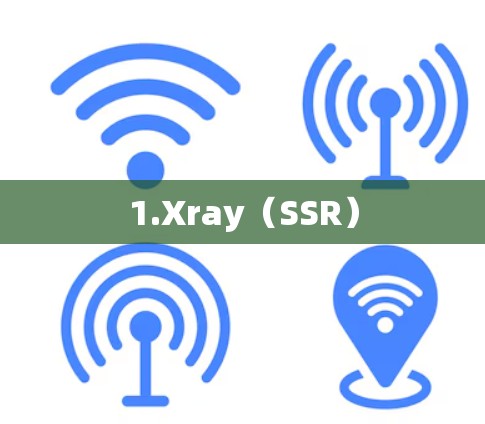 1.Xray（SSR）