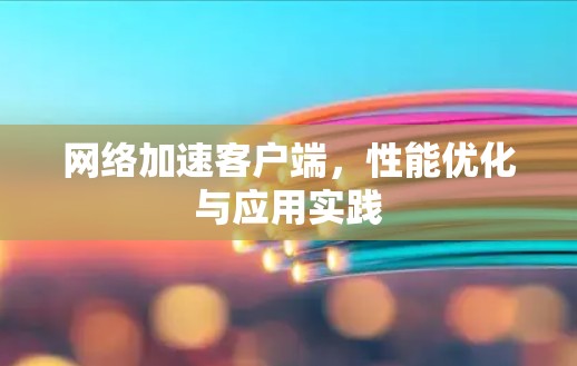 网络加速客户端,性能优化与应用实践 网络加速客户端,性能优化与应用实践