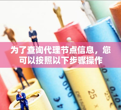为了查询代理节点信息，您可以按照以下步骤操作