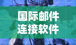 国际邮件连接软件，解决跨境邮件传输难题