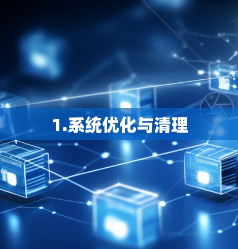 1.系统优化与清理 1.系统优化与清理