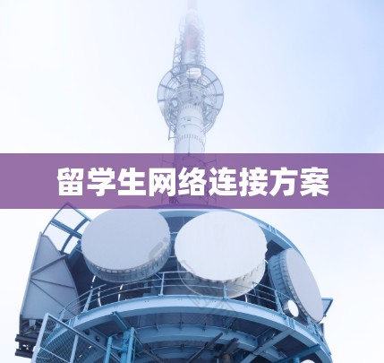 留学生网络连接方案