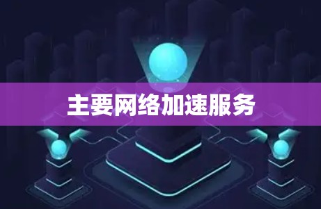 主要网络加速服务