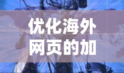 优化海外网页的加载速度可以通过以下工具和策略实现，帮助用户提升访问速度和用户体验