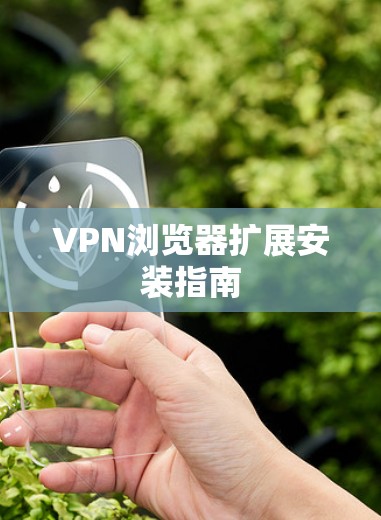 VPN浏览器扩展安装指南