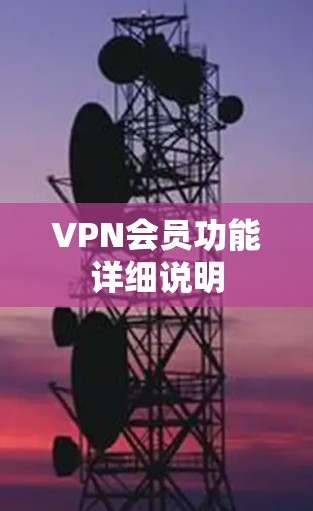 VPN会员功能详细说明
