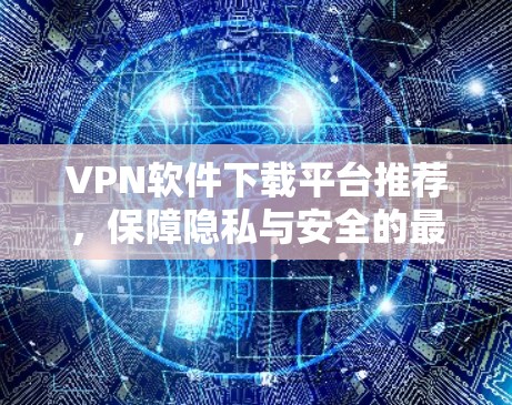 VPN软件下载平台推荐，保障隐私与安全的最佳选择