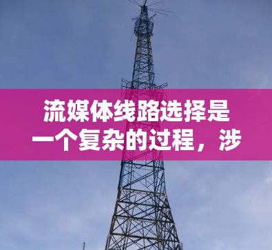 流媒体线路选择是一个复杂的过程，涉及到多种技术、网络条件、应用场景和成本因素。以下是一些常见的流媒体技术和线路选择的关键要点，帮助你更好地理解和选择适合的方案