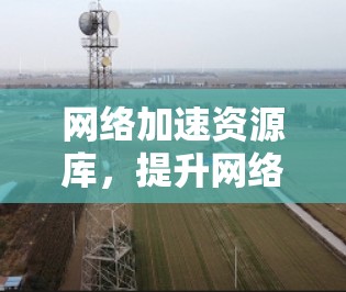 网络加速资源库，提升网络性能的创新解决方案
