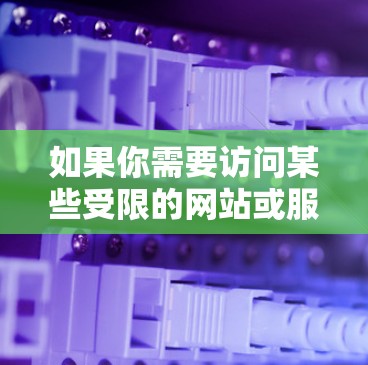 如果你需要访问某些受限的网站或服务，建议使用合法的 VPN 服务，这些服务通常遵守相关法律并提供安全的连接