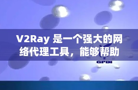 V2Ray 是一个强大的网络代理工具，能够帮助用户优化网络性能和规避访问限制。以下是使用 V2Ray 的分步指南