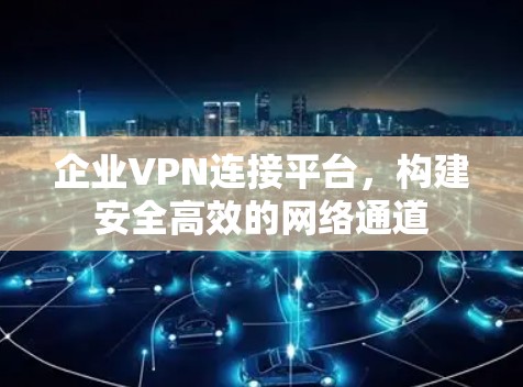 企业VPN连接平台，构建安全高效的网络通道