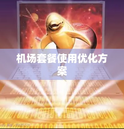 机场套餐使用优化方案