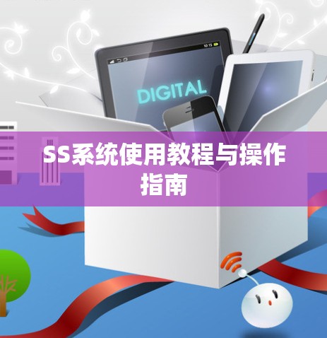 SS系统使用教程与操作指南