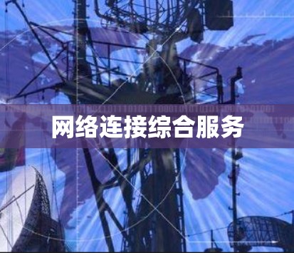 网络连接综合服务