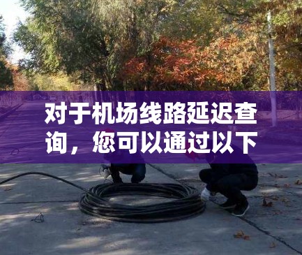 对于<strong>机场线路</strong>延迟查询，您可以通过以下方法获取相关信息