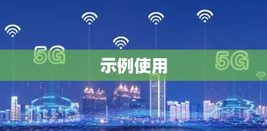 示例使用 示例使用