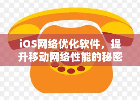iOS网络优化软件，提升移动网络性能的秘密武器