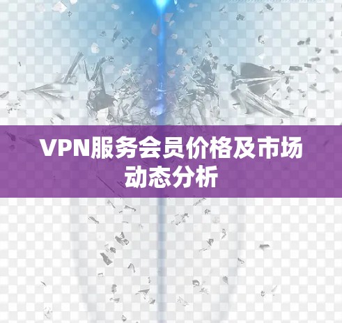 VPN服务会员价格及市场动态分析