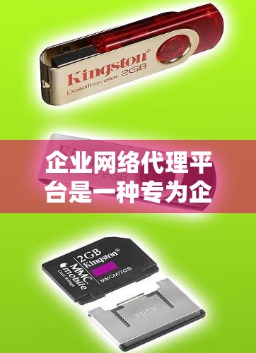 企业网络代理平台是一种专为企业设计的网络解决方案，旨在优化网络流量管理、提升性能和安全性。以下是对该平台的详细分析