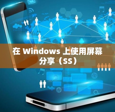 在 Windows 上使用屏幕分享（SS）