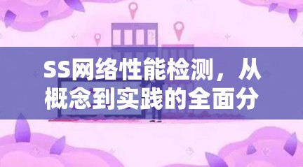 SS网络性能检测，从概念到实践的全面分析