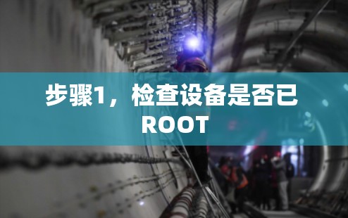 步骤1,检查设备是否已 ROOT