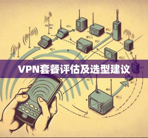 VPN套餐评估及选型建议